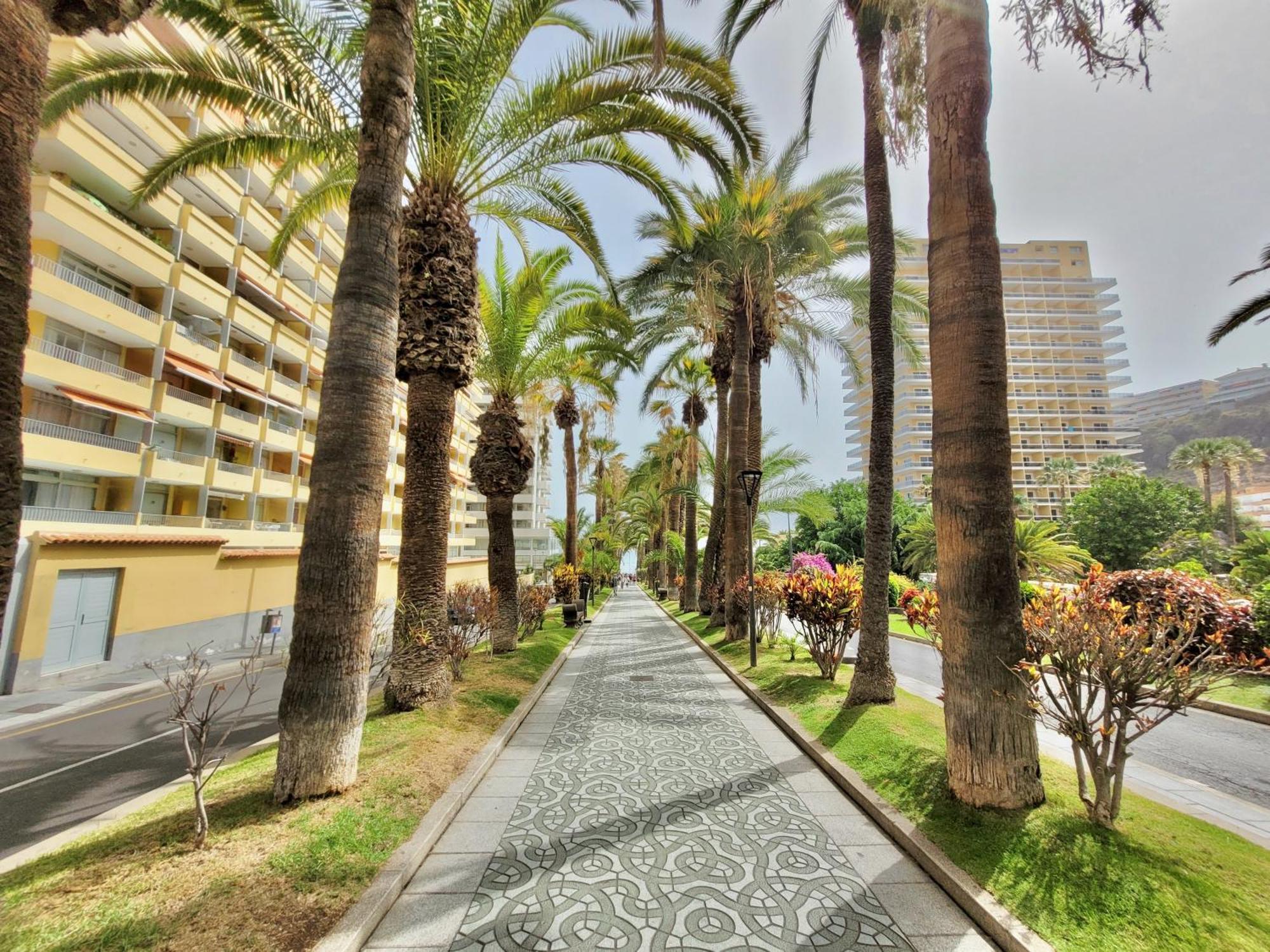 פוארטו דה לה קרוז Alta Beachside Apartments מראה חיצוני תמונה